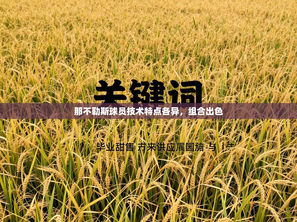 那不勒斯球员技术特点各异，组合出色